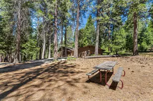 27879 State Hwy 88, Pioneer, CA 95666 - Photo 49