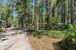 27879 State Hwy 88, Pioneer, CA 95666 - Photo 53