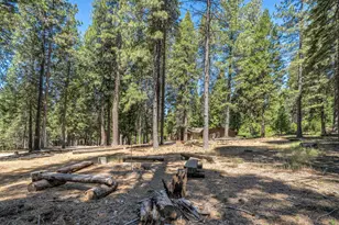 27879 State Hwy 88, Pioneer, CA 95666 - Photo 51