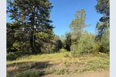 9030 Orval Beckett Court, Placerville, CA 95667 - Photo 3