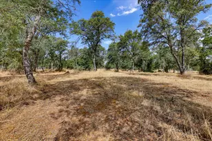 10203 Reedy Dr, Browns Valley, CA 95901 - Photo 75