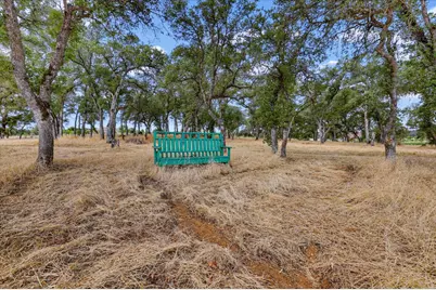 10203 Reedy Drive, Browns Valley, CA 95901 - Photo 81