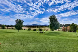 10203 Reedy Dr, Browns Valley, CA 95901 - Photo 61