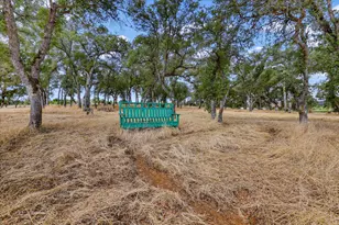 10203 Reedy Dr, Browns Valley, CA 95901 - Photo 79