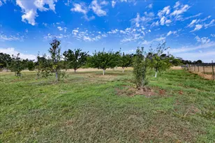 10203 Reedy Dr, Browns Valley, CA 95901 - Photo 69