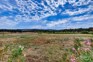 10203 Reedy Dr, Browns Valley, CA 95901 - Photo 55