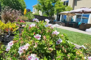 8020 Damico Dr, El Dorado Hills, CA 95762 - Photo 29