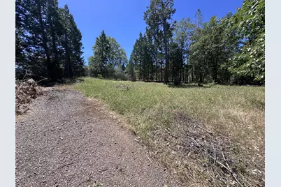 3720 Cedar Vista, Murphys, CA 95247 - Photo 3