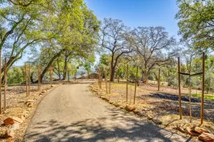 5161 Coyote Pass Rd, Shingle Springs, CA 95682 - Photo 41
