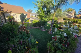 5131 Olivehurst Way, Elk Grove, CA 95758 - Photo 13