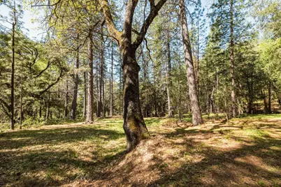 14737 Big Hill Road, Sonora, CA 95370 - Photo 1