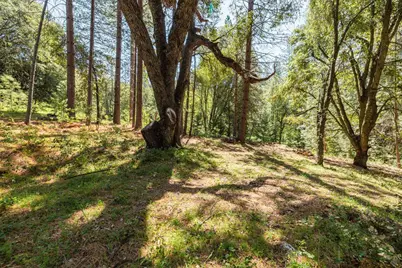 14737 Big Hill Road, Sonora, CA 95370 - Photo 5