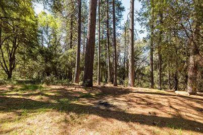 14737 Big Hill Road, Sonora, CA 95370 - Photo 3