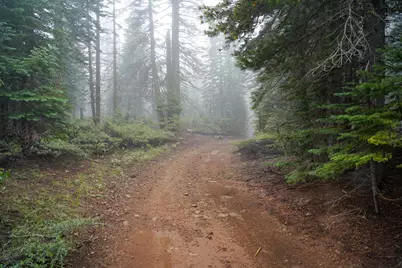 19746 Marsh Mill Road, Nevada City, CA 95959 - Photo 15