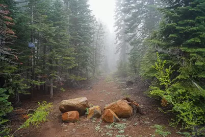 19746 Marsh Mill Road, Nevada City, CA 95959 - Photo 9