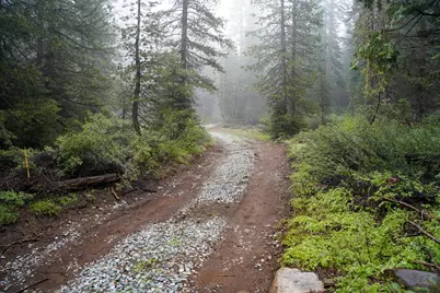 19746 Marsh Mill Road, Nevada City, CA 95959 - Photo 1