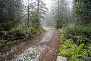 19746 Marsh Mill Rd, Nevada City, CA 95959 - Photo 1