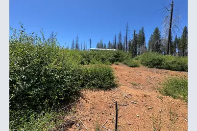 5300 Golden Aspen, Grizzly Flats, CA 95636 - Photo 11