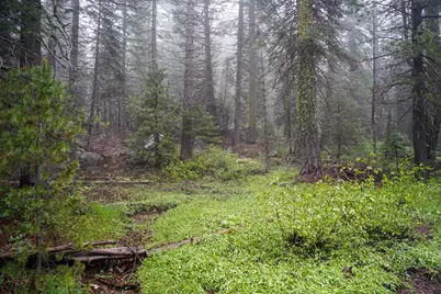 19498 Marsh Mill Road, Nevada City, CA 95959 - Photo 23