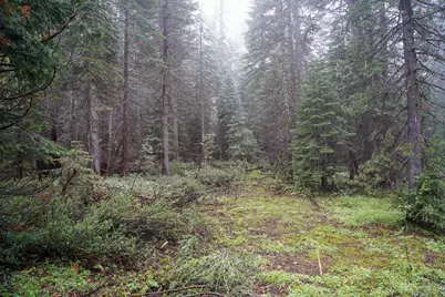 19498 Marsh Mill Road, Nevada City, CA 95959 - Photo 9