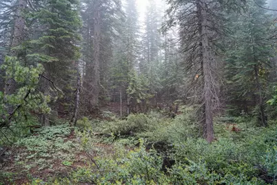 19498 Marsh Mill Road, Nevada City, CA 95959 - Photo 7
