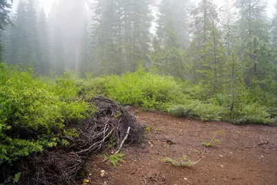 19498 Marsh Mill Road, Nevada City, CA 95959 - Photo 21