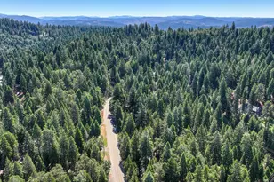 3644 Gold Ridge Trail, Pollock Pines, CA 95726 - Photo 87
