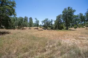 20505 Coalinga Rd, Paicines, CA 95043 - Photo 73