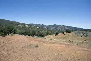 20505 Coalinga Rd, Paicines, CA 95043 - Photo 77