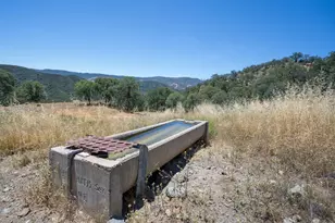 20505 Coalinga Rd, Paicines, CA 95043 - Photo 37