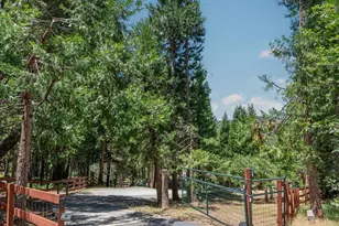 5048 Wylderidge Dr, Murphys, CA 95247 - Photo 55