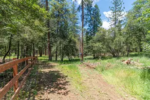 5048 Wylderidge Dr, Murphys, CA 95247 - Photo 53