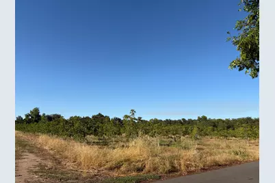 0 Obermeyer Avenue, Gridley, CA 95948 - Photo 3