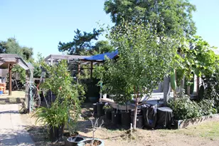 681 Taylor Rd, Lodi, CA 95242 - Photo 39