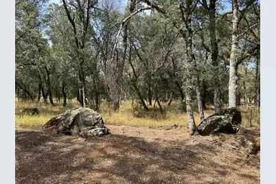 11168 Lone Star Road, Auburn, CA 95602 - Photo 41