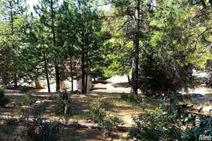 111 Ponderosa Way, Colfax, CA 95713 - Photo 1
