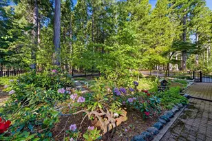 23420 State Hwy 20, Nevada City, CA 95959 - Photo 41