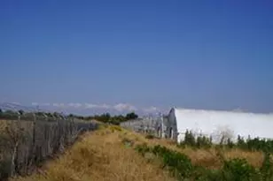 11010 Co Rd 116B, Woodland, CA 95776 - Photo 35