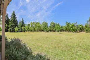 6783 Harrington Ave, Arbuckle, CA 95912 - Photo 9