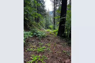 1 Usfs 8Bn54 Road, Somerset, CA 95684 - Photo 29
