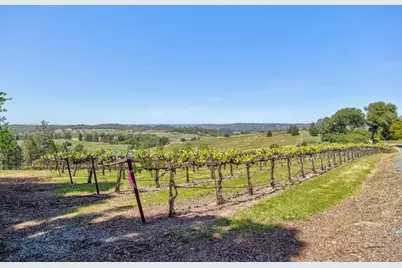 13320 Oakstream Road, Plymouth, CA 95669 - Photo 61