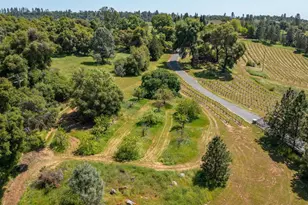 13320 Oakstream Rd, Plymouth, CA 95669 - Photo 85