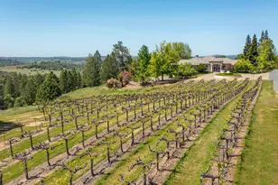 13320 Oakstream Rd, Plymouth, CA 95669 - Photo 77