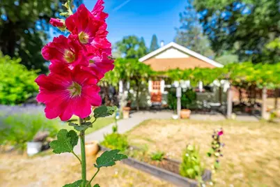 2020 Alexander Lane, Placerville, CA 95667 - Photo 1