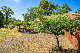 2020 Alexander Ln, Placerville, CA 95667 - Photo 61
