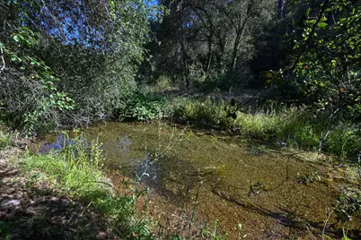 5288 Rattlesnake Bar Road, Pilot Hill, CA 95664 - Photo 31