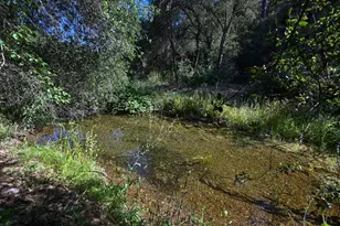 5288 Rattlesnake Bar Rd, Pilot Hill, CA 95664 - Photo 31