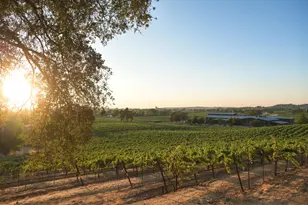 20540 Shenandoah School Rd, Plymouth, CA 95669 - Photo 9