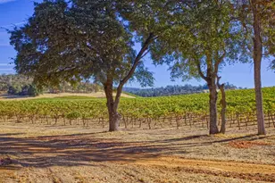20540 Shenandoah School Rd, Plymouth, CA 95669 - Photo 7