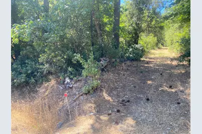 1636 Nickerson Lane, Murphys, CA 95247 - Photo 17